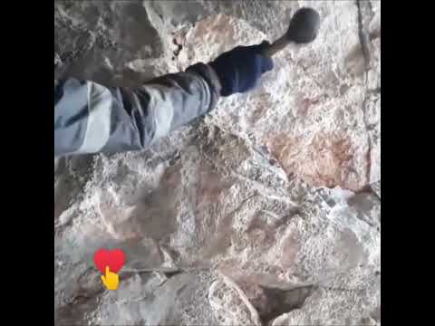 گنج یابی استاد پوارو کوهسار