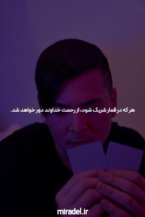 سایت شرط بندی معتبر تینیبت